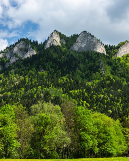 Pieniny